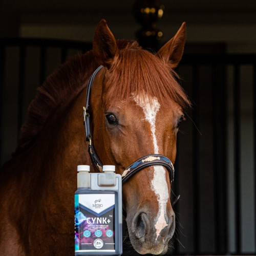 mebio-cynk-sklep-hippovet-1024x1024.jpg