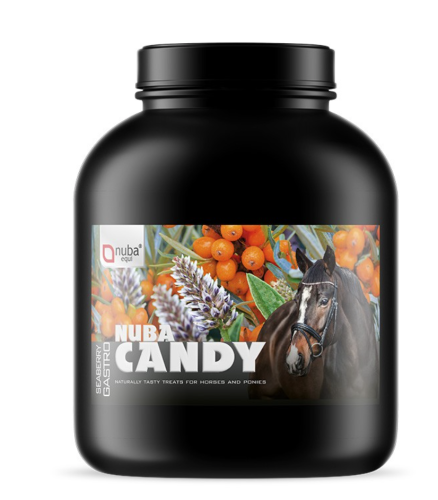 Zrzut ekranu 2026-03-10 123612.png