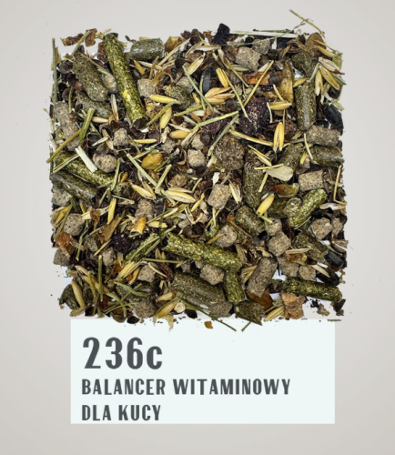 Zrzut ekranu 2026-03-10 123954.png